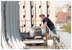 diagnostic services